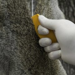 Smiths Disposable Gut Hooks Kanca