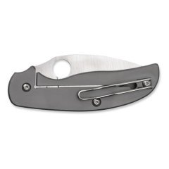 Spyderco C123Tip Sage Titanium Çakı